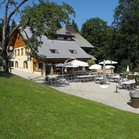 Domaine De La Sapiniere Hotel Thorens-Glières Екстериор снимка