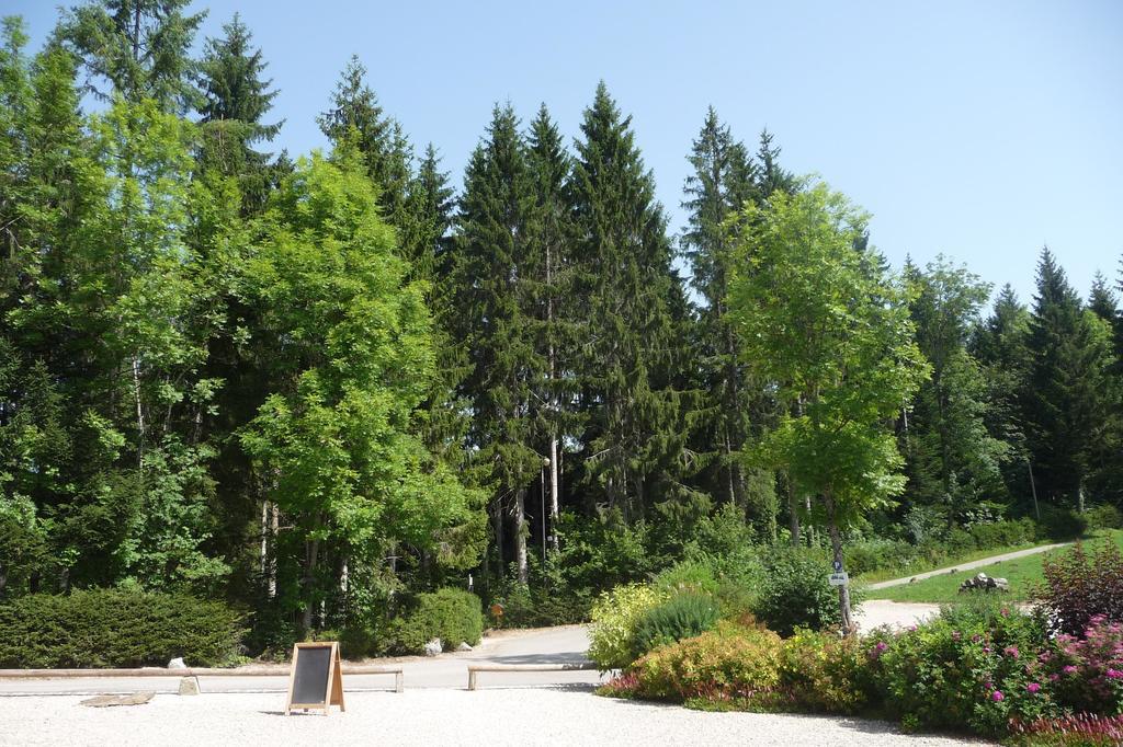 Domaine De La Sapiniere Hotel Thorens-Glières Екстериор снимка